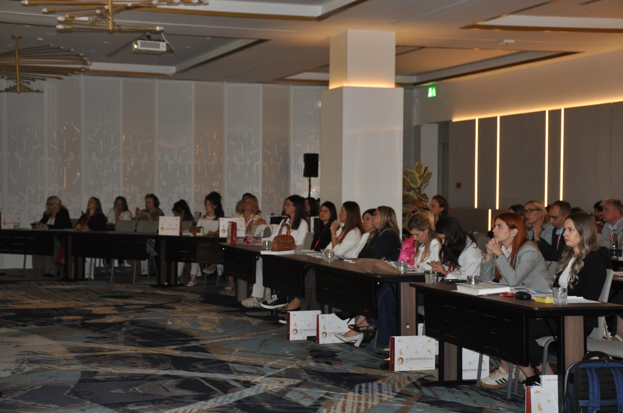 Učesnici savetovanja u sali hotela Crowne Plaza